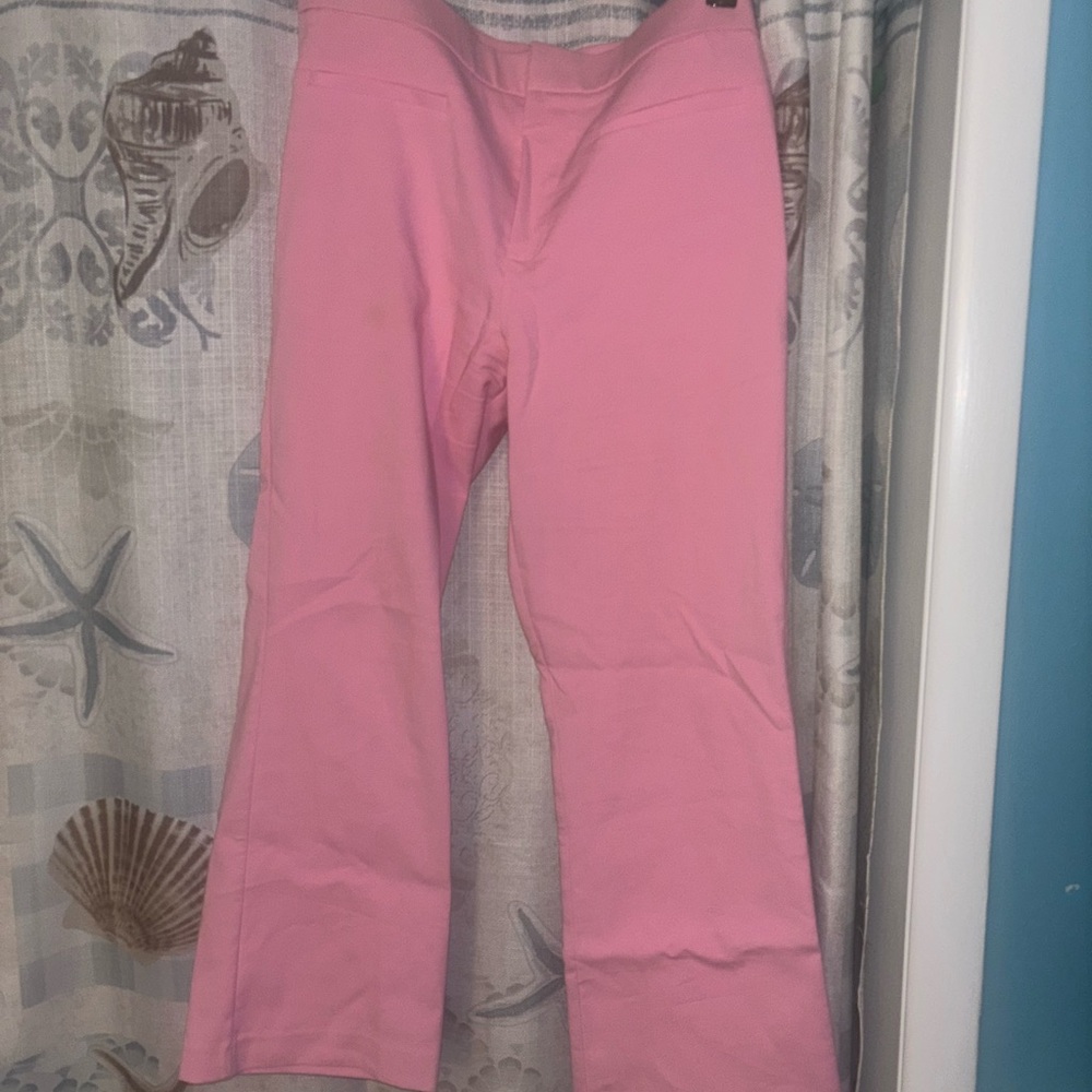 Zara Pink Pants